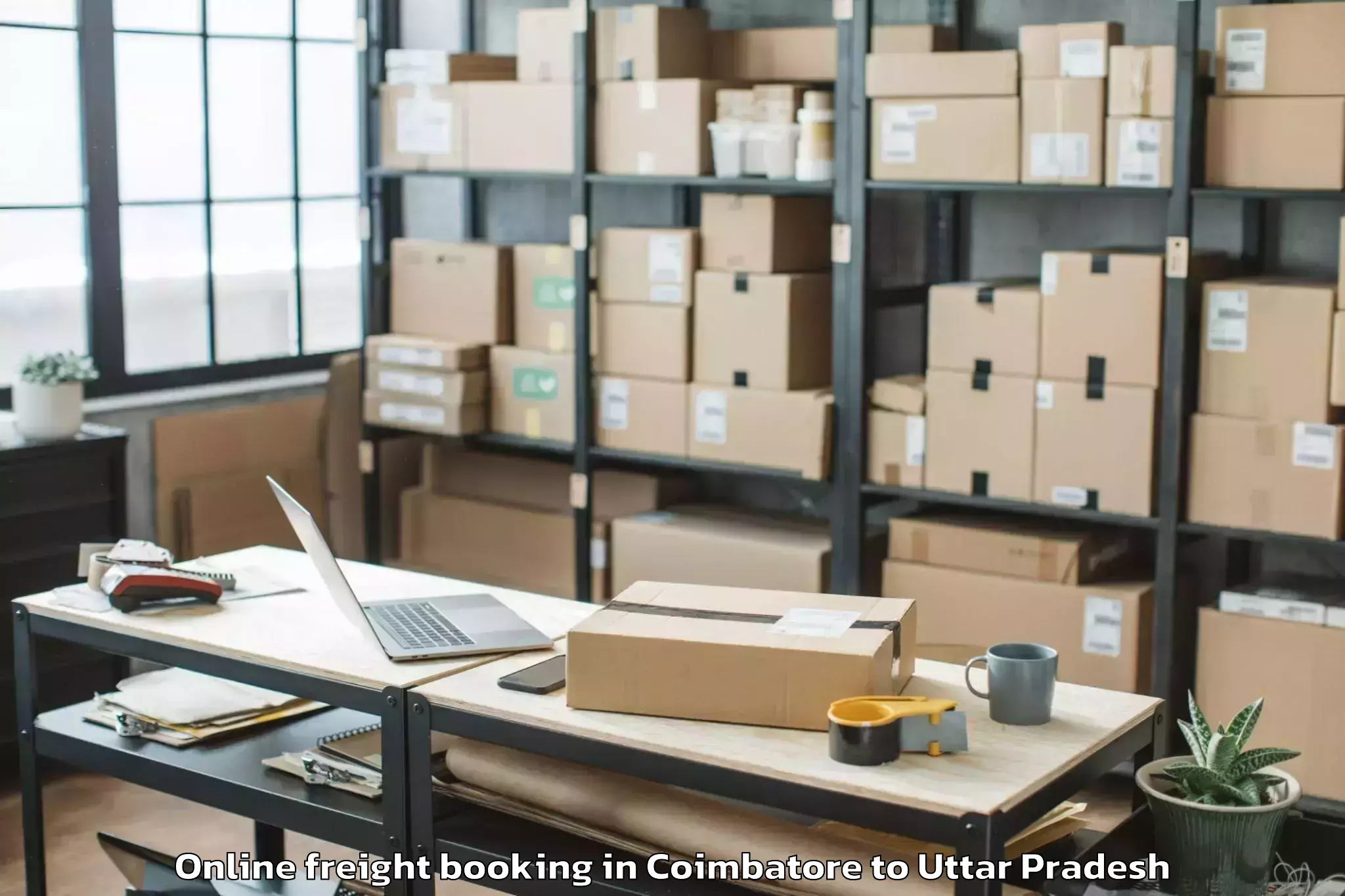 Professional Coimbatore to Etawa Online Freight Booking